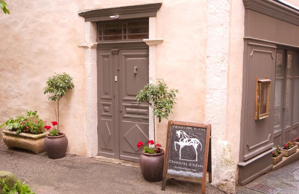 Le Cheval Blanc Bed & Breakfast Saint-Antonin-Noble-Val Exterior photo